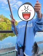 釣り堀で魚を釣っている画像