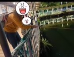 東南植物楽園の釣り堀で魚を釣っている様子。