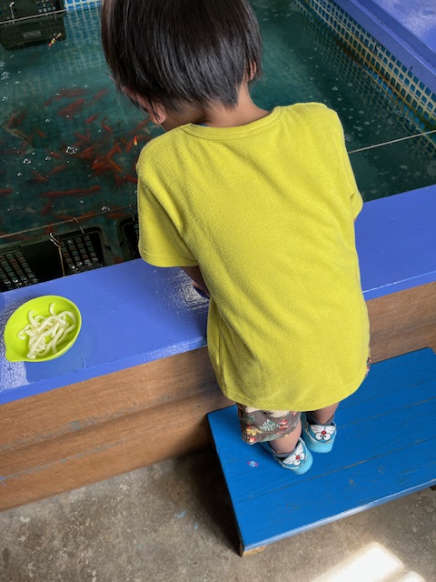 3歳児が釣り堀で釣りをしている様子