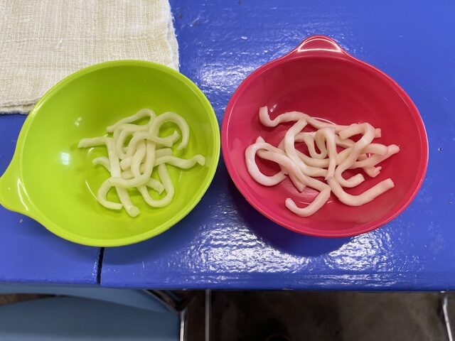釣り餌のうどん